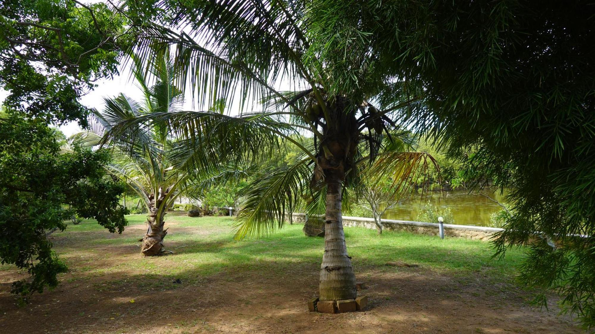 Salt Lake Cabanas & Restaurant Tangalle Kültér fotó